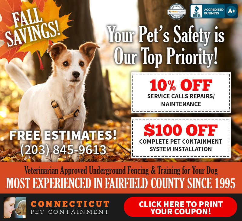 Connecticut Pet Containment