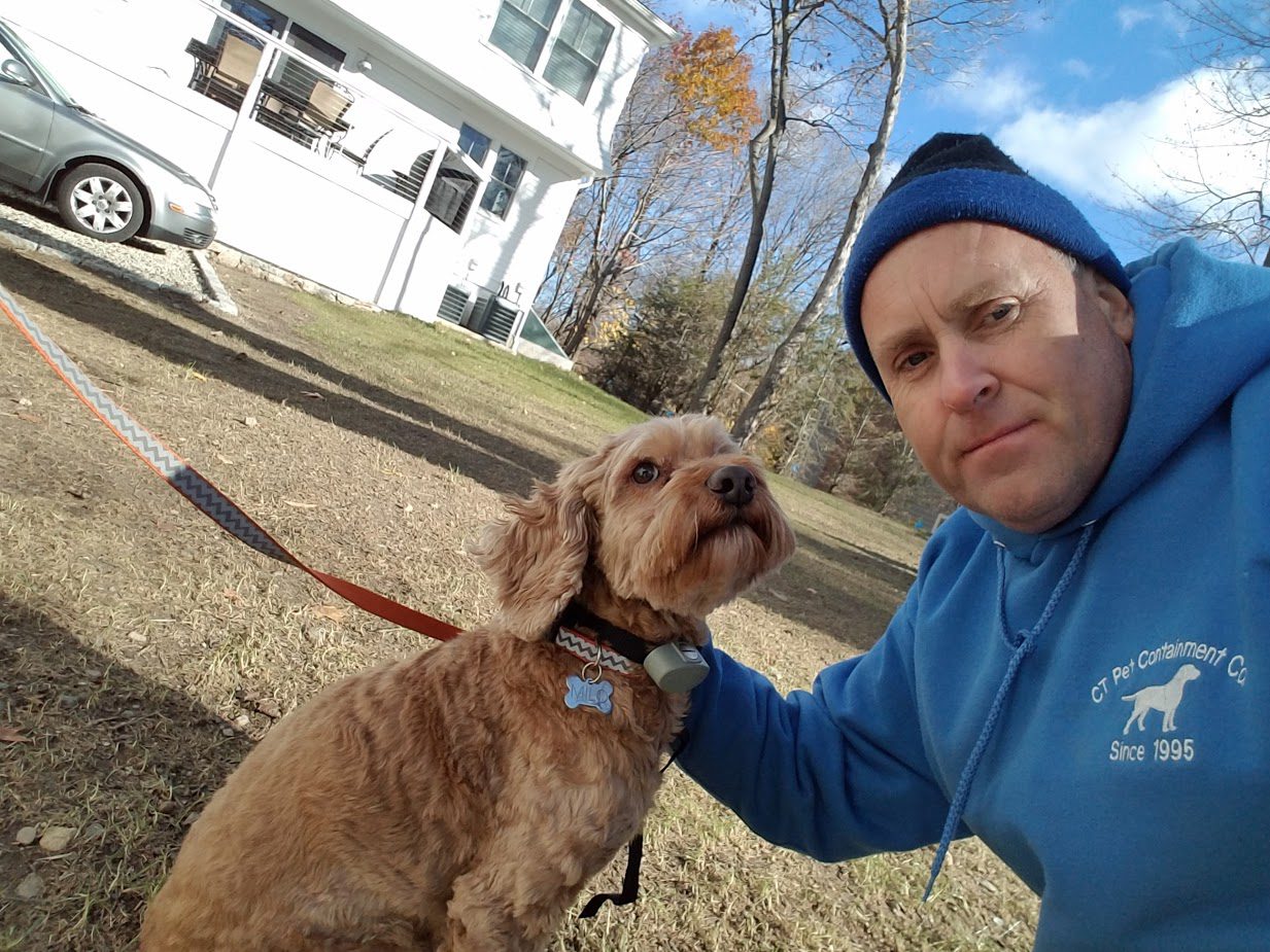 Milo, Westport A man and his dog are outside in the yard.