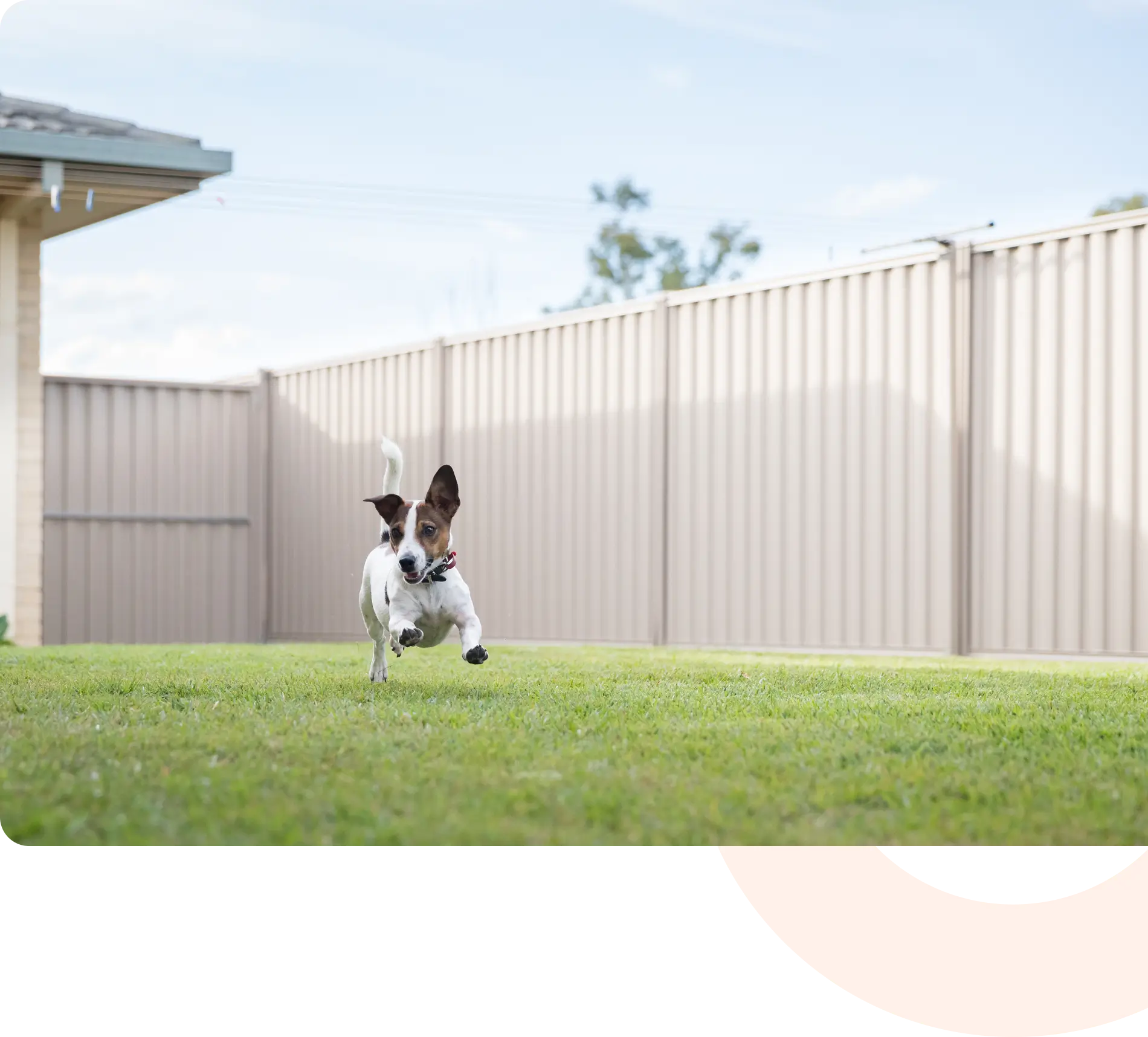 Connecticut Pet Containment