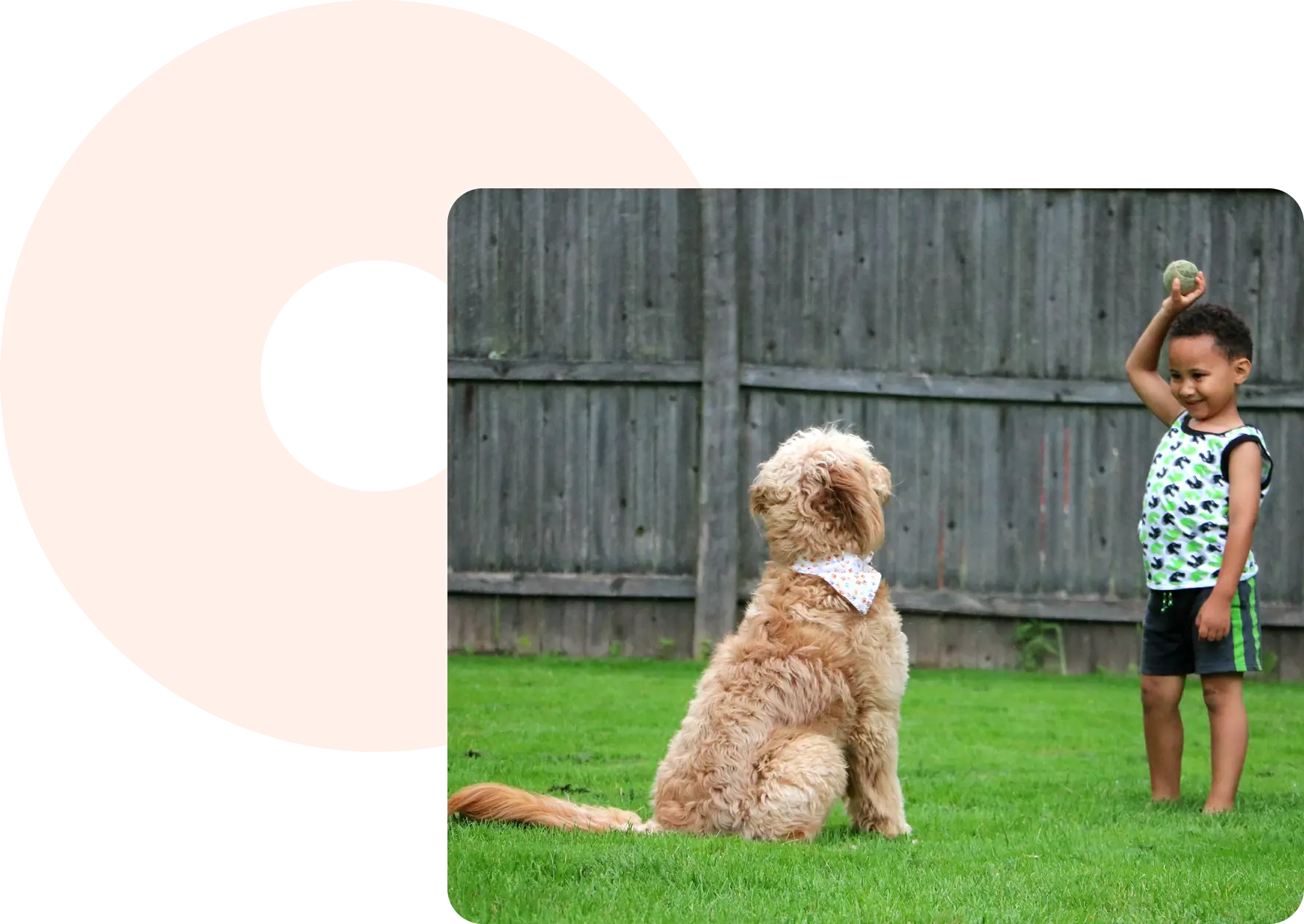 Connecticut Pet Containment