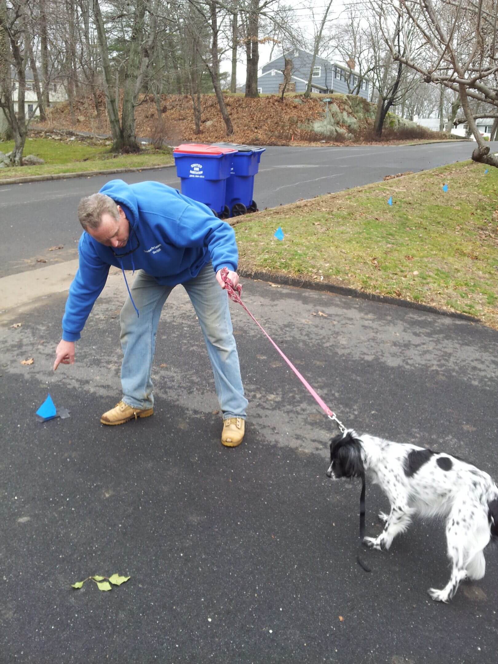 Connecticut Pet Containment